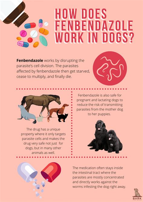 how does fenbendazole work in dogs