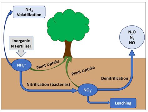 How Does Fertilizer Affect Global Warming