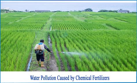 How Does Fertilizer Pollute The Environment