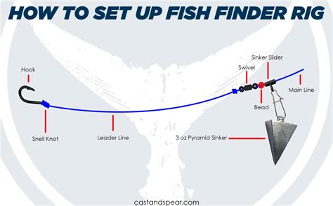 How Does Fish Finder Rig Work