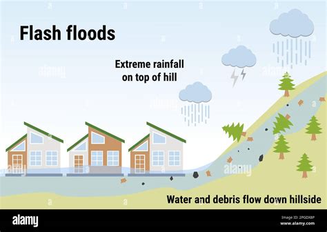 How Does Flash Flood Effect On The Environment