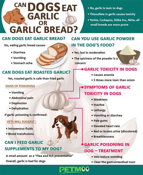 How Does Garlic Affect Dogs