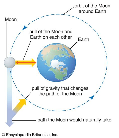 How Does Gravity Form Objects