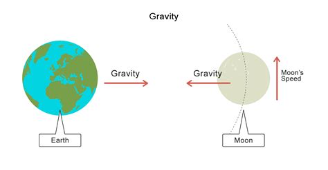 How Does Gravity Shape The Earth