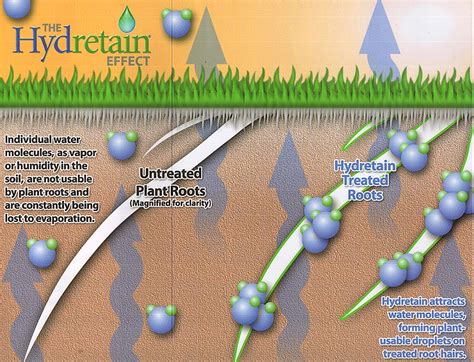 How Does Hydretain Work