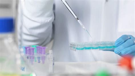 how does in vitro testing work