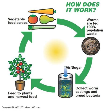 How Does Indoor Composting Work