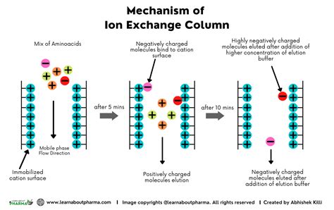 Unravel the Magic: How Ion Exchange HPLC Works in 5 Simple Steps