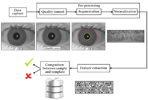 how does iris recognition work