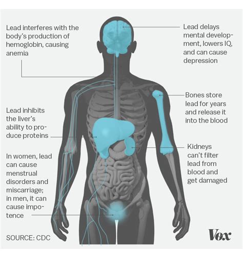 How Does Lead Enter The Body