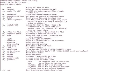 How Does Linux File Command Work