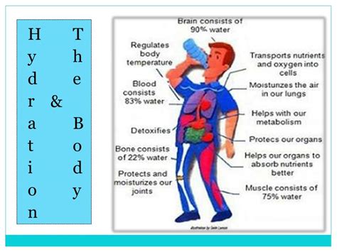 How Does Liquid Hydration Work