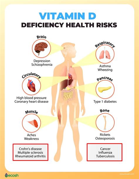 How Does Low Vitamin D Affect Calcium Levels