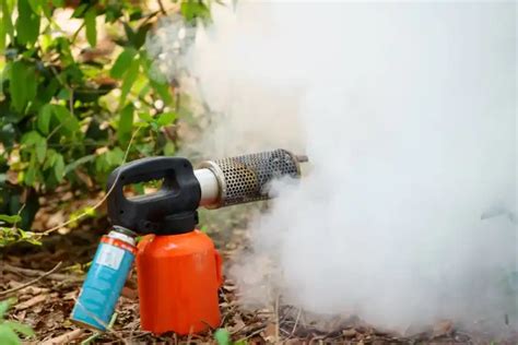 How Does Mosquito Fogging Work