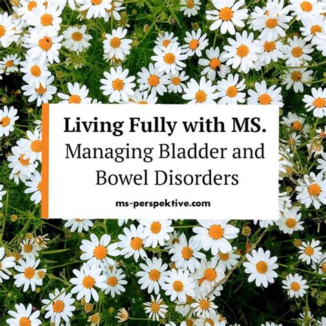 How Does Ms Affect Bladder And Bowel
