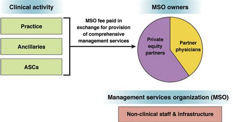 How Does Mso Work