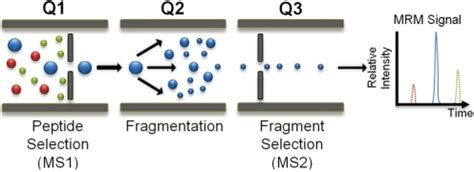 how does multiple reaction monitoring work