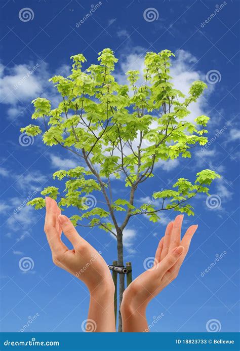 How Does Nature Protect Itself