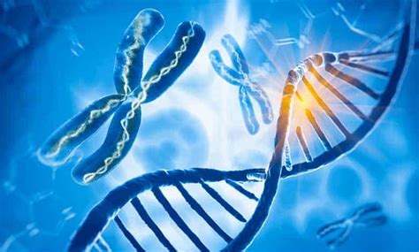 How Does New Genetic Information Evolve: The Stepbystep Guide