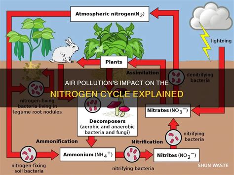 How Does Nitrogen Monoxide Affect The Atmosphere