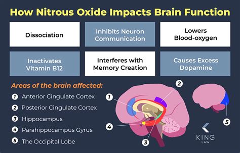 How Does Nitrous Oxide Kill Brain Cells