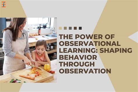 How Does Observational Learning Affect Behavior