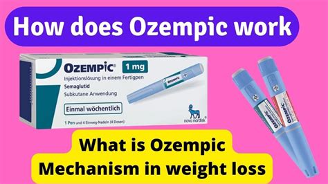 how does ozempic work in the brain