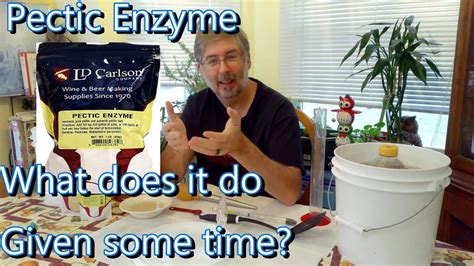 How Does Pectic Enzyme Work