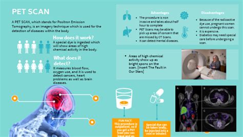 How Does Pet Delivery Work
