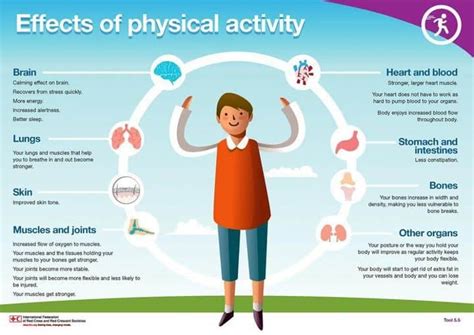 How Does Physical Activity Affect Your Fitness