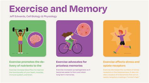 how does physical activity help with memory