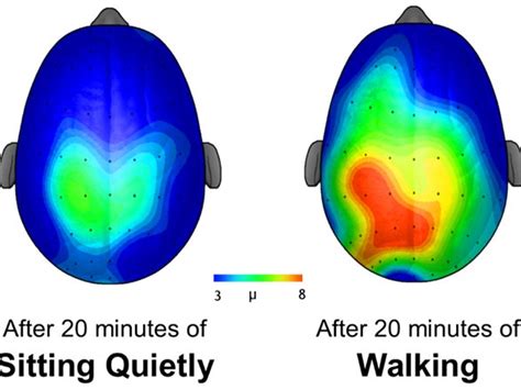 how does physical activity improve cognitive development