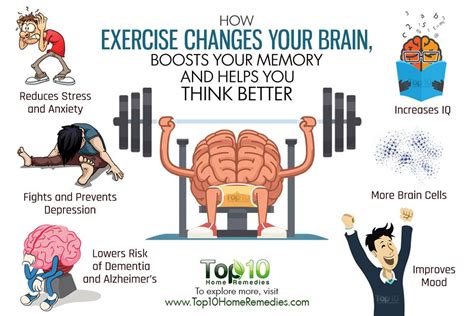 how does physical exercise affect memory