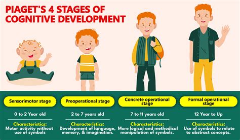 how does piaget's theory of stages explain cognitive development