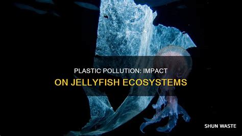 How Does Plastic Pollution Affect Jellyfish: A Dive Into The Impact