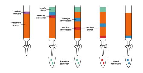 How Does Polarity Affect Column Chromatography