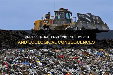 How Does Pollution Affect Land And Our Ecosystems