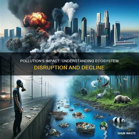 How Does Pollution Affect Life: A Simple Breakdown Of Real Impact