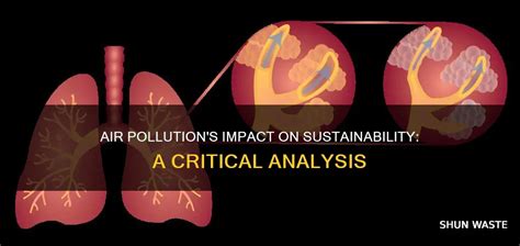 Understanding How Pollution Affects Sustainability Goals