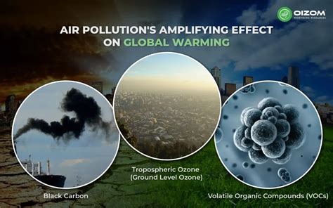 How Does Pollution Affect The World: A Deep Dive Into Our Planet's Decline