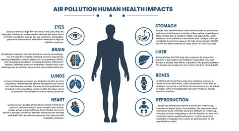 How Pollution Affects Our Health And Daily Life
