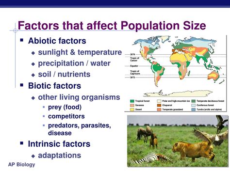 how does population dynamics affect the environment