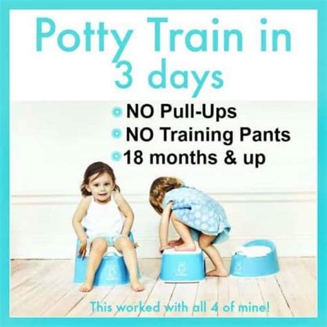 How Does Potty Training Work