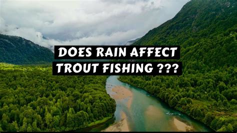 How Does Rain Affect Fly Fishing