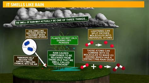 How Does Rain Get Its Smell