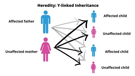 How Does Receiving An Inheritance Work