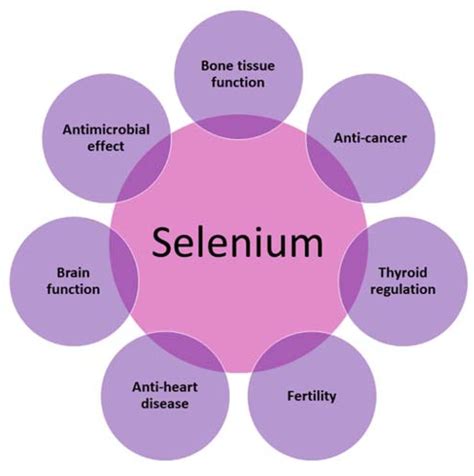 How Does Selenium Benefit The Body
