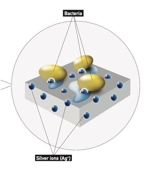 Unraveling Silver's Magic: How Ion Charging Protects Infections