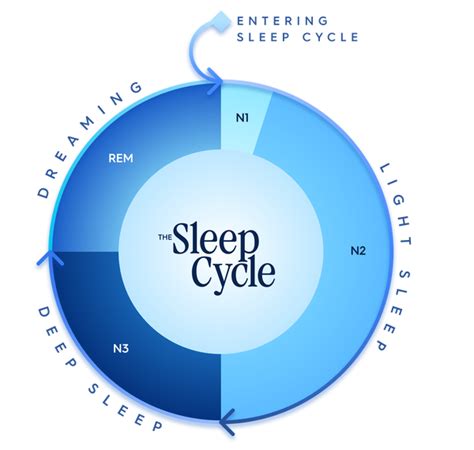 How Does Sleep Cycle Work Reddit