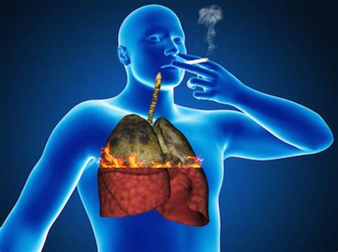 how does smoking affect your growth and development
